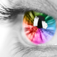 Illustration for article titled New forensic test can predict hair and eye color of suspects